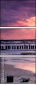 22254013