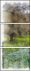 233849730