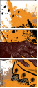 24093537