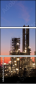 27025909