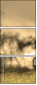 29517691