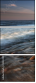 30333993