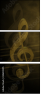 30659395
