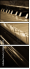 30665978