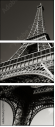3193736