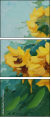 33565665