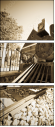 34463140