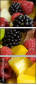 3721630