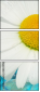 38339114