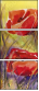 39736347