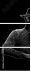 40123912