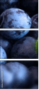 4030305
