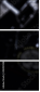 43413948
