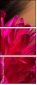 45325126