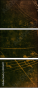 45516171
