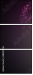 48695606