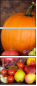 4889858
