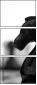 49013321