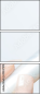 49347919