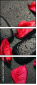 49357610