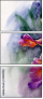 49614192