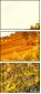 50713543