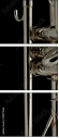 50979160