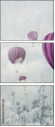 51047463