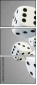 52325487