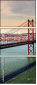 52434198