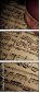 53848073