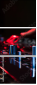 54778008
