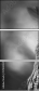57830545