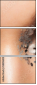 58896400