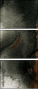 59576082