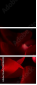 60186592