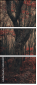 60442499