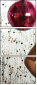 61002788