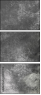 61243496