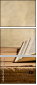 62217650