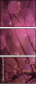 64114474
