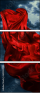 64282038