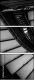 64699610