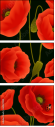 64821989