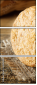 65896477