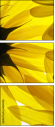 6606588