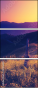 67236047
