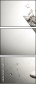 68770141
