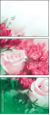 68917011