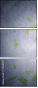 75640772
